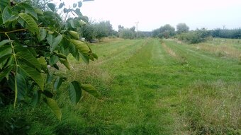 pozemek 6 000m2 - 2