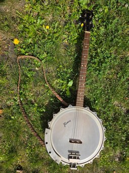 Banjo - 2