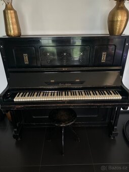 Piano Dalibor - 2