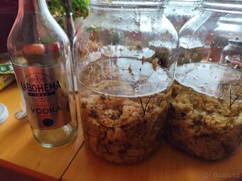 Prodej přebytků letošní medové víčkovice. - 2