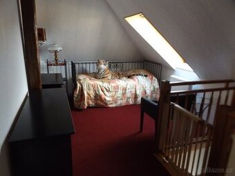 Byt 3+1 Poděbrady - 2