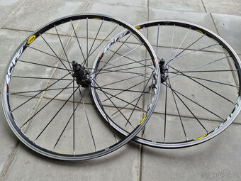 Kola Mavic Crossride 26" - 2