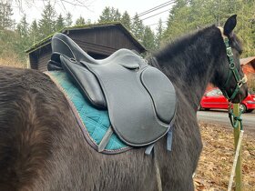 Nové všestranné sedlo - 2