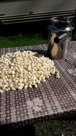 Prodám loupač česneku - 2