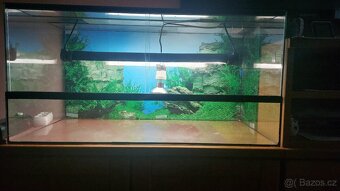 Prodám používané terárium 80×40×40. Terárium má vrchní větrá - 2