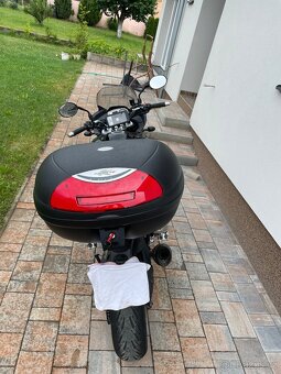 Triumph Tiger 1050 - 2