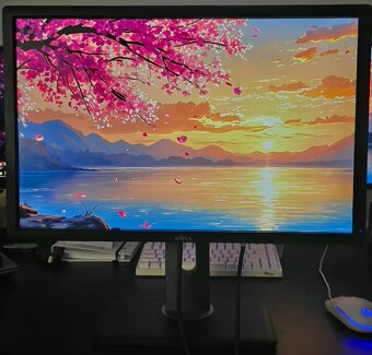 Prodám 24" monitor Dell UltraSharp U2412M (1920x1200, IPS) - 2