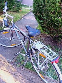 Kolo Author Legend - 2