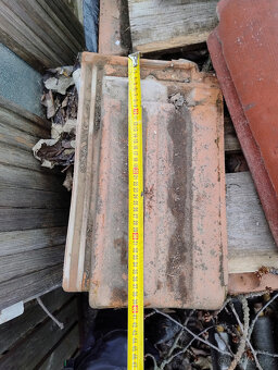 Křidlice / taška dvoufalcová - 2