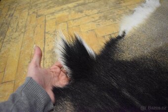 Kožešina daněk 2 - 2