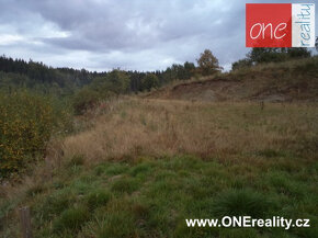 Pronájem pozemku v Lamperticích - 2