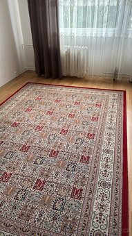 Koberec 200x300 - 2