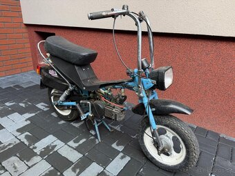 MOKIK Babetta - STELLA - 2