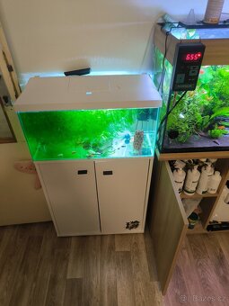 Komplet akvárium včetně osazenstva - 2