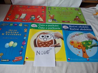 KNIHY+PANENKY-NA VÁNOCE +DOSPĚLÁCKÉ KNIHY A VĚCI DO DOMÁCN. - 2