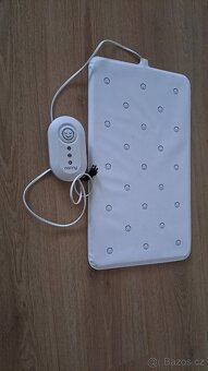 Monitor dechu nanny - 2