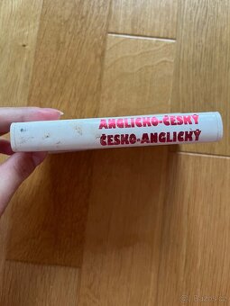 Anglicko-česky slovník - 2