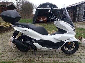 Honda PCX 125 super stav - 2