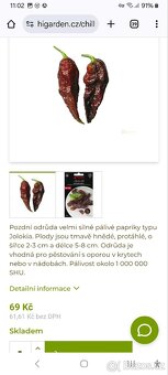 Sazenice chilli - 2