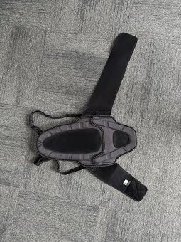 Chránič páteře Dainese - 2
