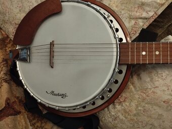 Banjo 6 strun - 2