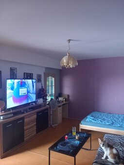 1kk 37m2 Jana Palacha - 2