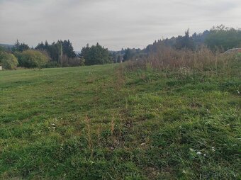 Pronajmu louku - pastvinu 10000 m2 - 2