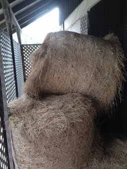 Prodám luční seno - 2