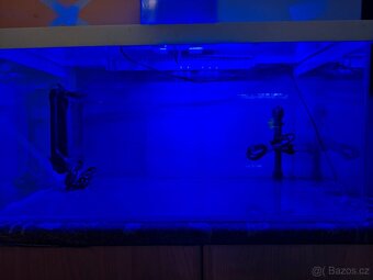 Prodám akvárium 54l - 2
