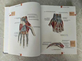 Anatomický atlas - 2