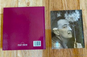 Nové knihy Nikdo nejsme dokonalí a Dalí - 2