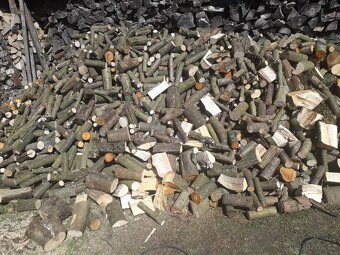 Palivové dřevo - 2