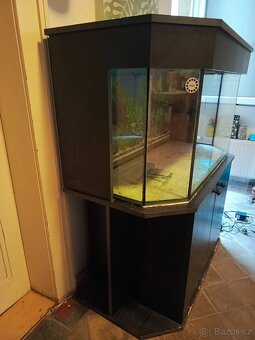 Terarium/akvarium/paludarium - 2