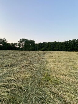 Balíky sena 125cm ekologické nezmoklé - 2