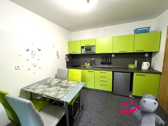 Prodej bytu 1kk + terasa, parkování, 40 m², Ostružná - Petří - 2