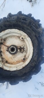 Kola tera vari . - 2