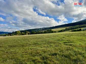 Prodej pozemku k bydlení, 43959 m², Králíky - 2
