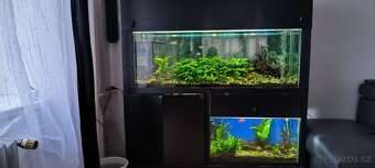 akvarijní set - 2