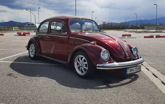 VW Brouk - 2