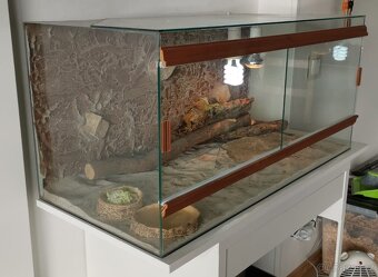 Prodám terárium 95x45x45 - 2