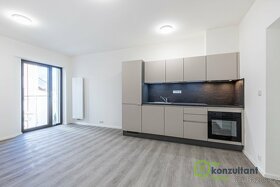 Pronájem byty 1+kk, 32 m2 - Brno - Veveří, ev.č. 00437 - 2
