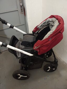Kocarek husky - 2