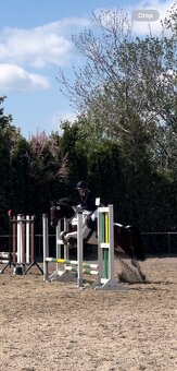 Skvělý 7mi letý pony B - 2