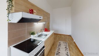 1kk po reko v CENTRU u parku - 2