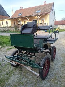 Kočár, wagoneta , pony , koně - 2