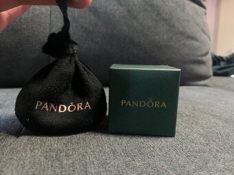 Pandora přívěšek - 2