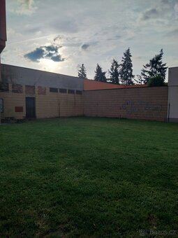 Pronajmu byvaly vymenik - 2