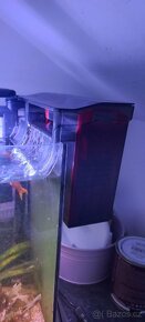 Akvarium 38l - 2