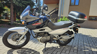 Suzuki XF650 Freewind - 2