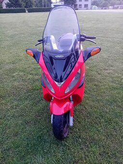 Malaguti Madison 250RS - 2